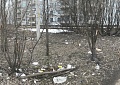 Чистота нашего города.